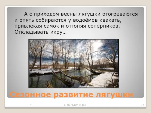 Сезонное развитие лягушки А с приходом весны лягушки отогреваются и опять собираются