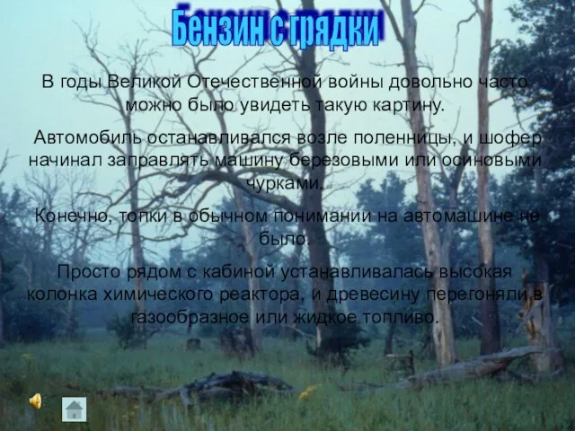 Бензин с грядки В годы Великой Отечественной войны довольно часто можно было