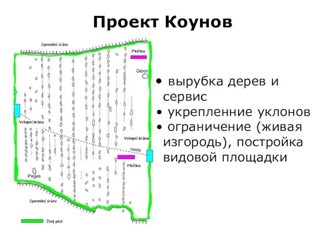 Проект Коунов вырубка дерев и сервис укрепленние уклонов ограничение (живая изгородь), постройка видовой площадки