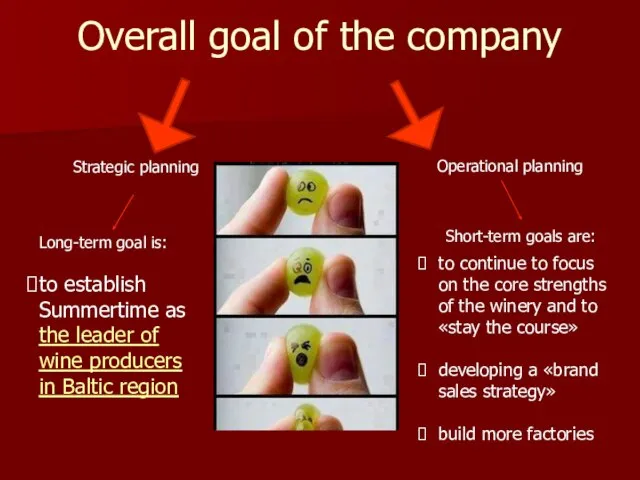 Overall goal of the company Strategic planning Long-term goal is: to establish