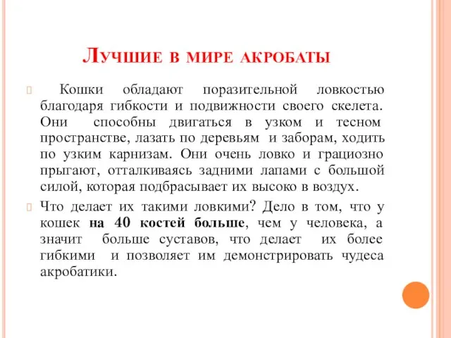 Лучшие в мире акробаты Кошки обладают поразительной ловкостью благодаря гибкости и подвижности