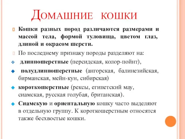 Домашние кошки Кошки разных пород различаются размерами и массой тела, формой туловища,