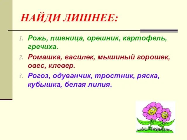 НАЙДИ ЛИШНЕЕ: Рожь, пшеница, орешник, картофель, гречиха. Ромашка, василек, мышиный горошек, овес,