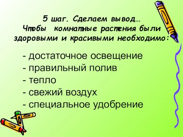 5 шаг. Сделаем вывод… Чтобы комнатные растения были здоровыми и красивыми необходимо: