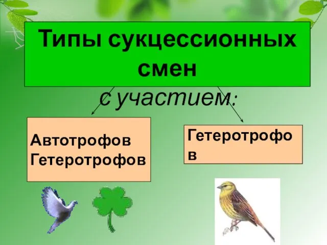 Типы сукцессионных смен с участием: Автотрофов Гетеротрофов Гетеротрофов