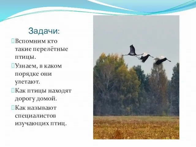 Задачи: Вспомним кто такие перелётные птицы. Узнаем, в каком порядке они улетают.