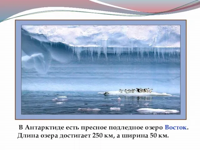 В Антарктиде есть пресное подледное озеро Восток. Длина озера достигает 250 км, а ширина 50 км.