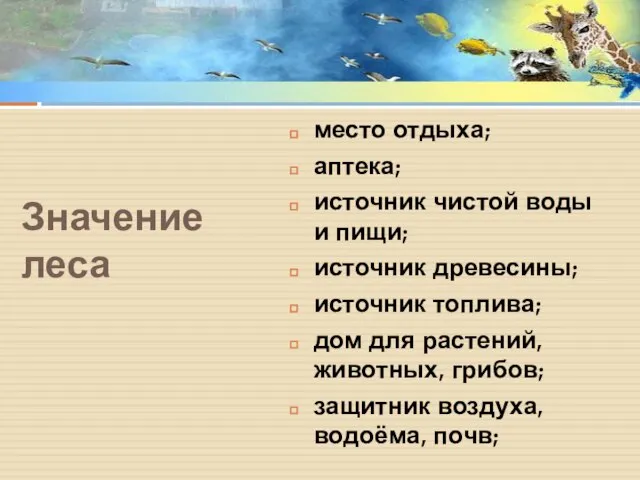 Значение леса место отдыха; аптека; источник чистой воды и пищи; источник древесины;