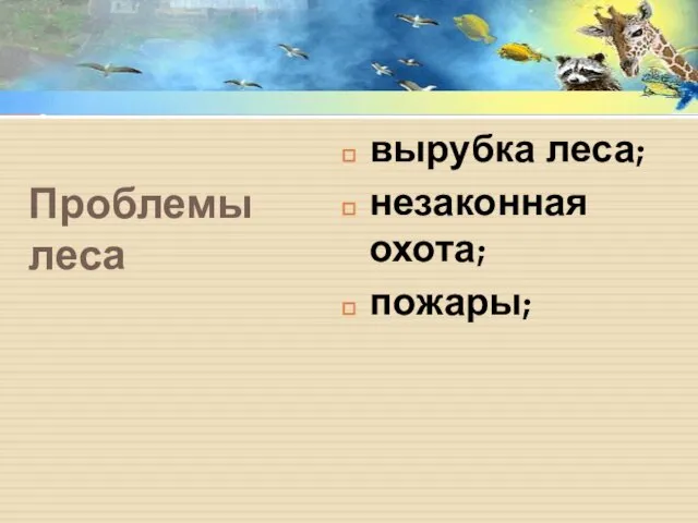 Проблемы леса вырубка леса; незаконная охота; пожары;