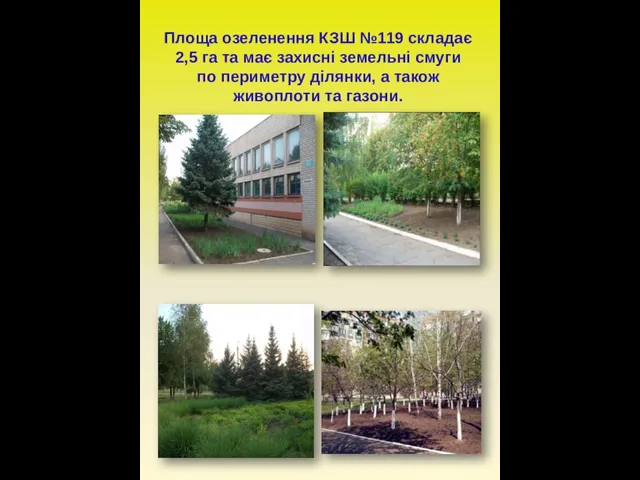 Площа озеленення КЗШ №119 складає 2,5 га та має захисні земельні смуги