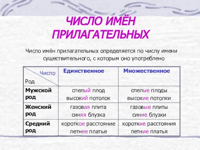 ЧИСЛО ИМЁН ПРИЛАГАТЕЛЬНЫХ Число имён прилагательных определяется по числу имени существительного, с которым оно употреблено