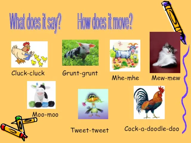 What does it say? How does it move? Cluck-cluck Grunt-grunt Mhe-mhe Moo-moo Tweet-tweet Mew-mew Cock-a-doodle-doo