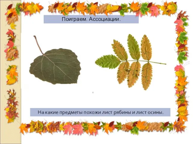 Поиграем. Ассоциации. На какие предметы похожи лист рябины и лист осины.