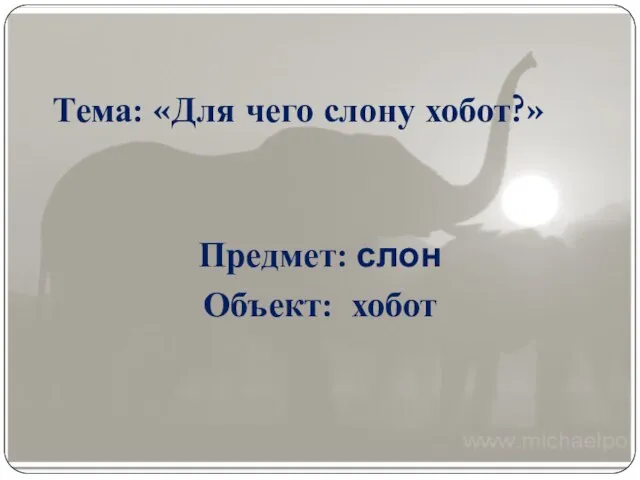 Тема: «Для чего слону хобот?» Предмет: слон Объект: хобот