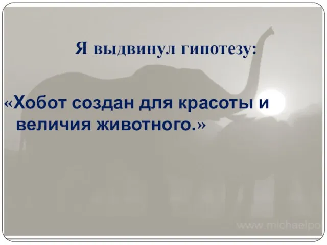 Я выдвинул гипотезу: «Хобот создан для красоты и величия животного.»