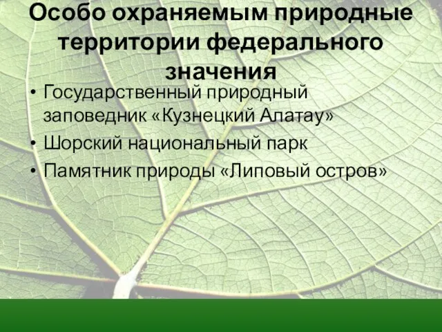 Особо охраняемым природные территории федерального значения Государственный природный заповедник «Кузнецкий Алатау» Шорский