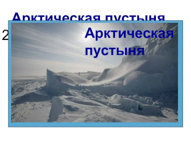 Арктическая пустыня 2. Лютый мороз, ветер, сбивающий с ног, слепящая метель и белое безмолвие. Арктическая пустыня