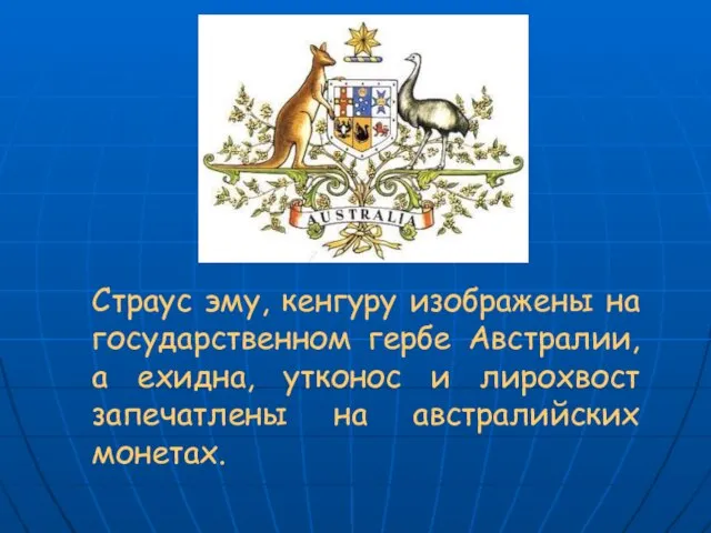 Страус эму, кенгуру изображены на государственном гербе Австралии, а ехидна, утконос и