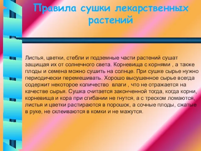 Правила сушки лекарственных растений Листья, цветки, стебли и подземные части растений сушат