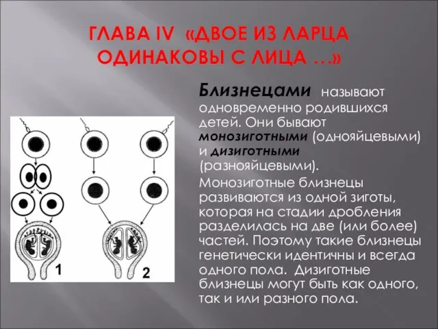 ГЛАВА IV «ДВОЕ ИЗ ЛАРЦА ОДИНАКОВЫ С ЛИЦА …» Близнецами называют одновременно