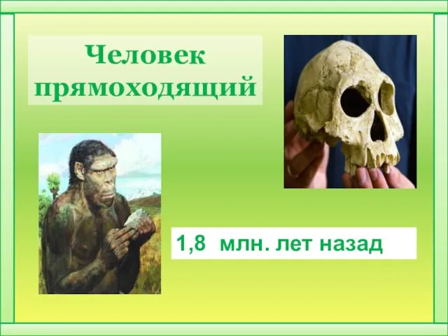 Человек прямоходящий 1,8 млн. лет назад