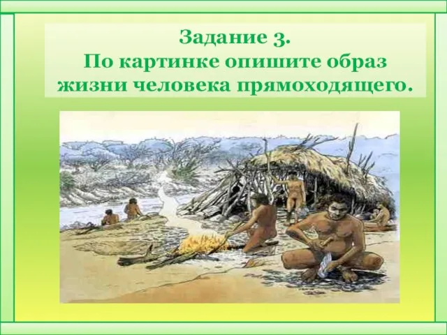 Задание 3. По картинке опишите образ жизни человека прямоходящего.