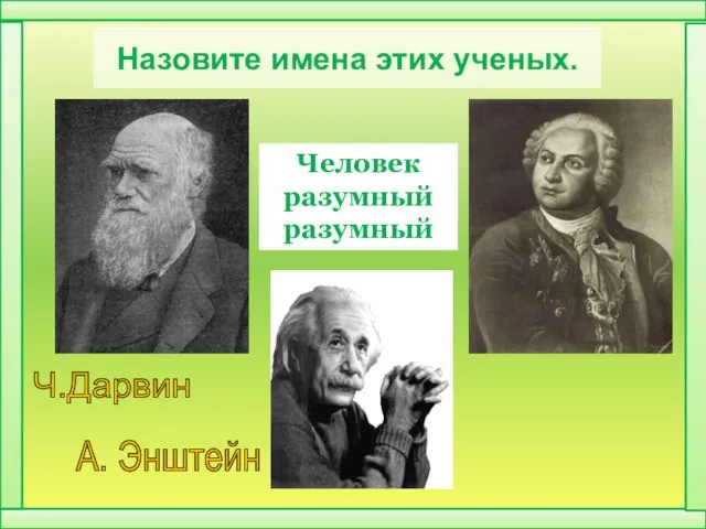 Назовите имена этих ученых. Ч.Дарвин А. Энштейн М. Ломоносов Человек разумный разумный