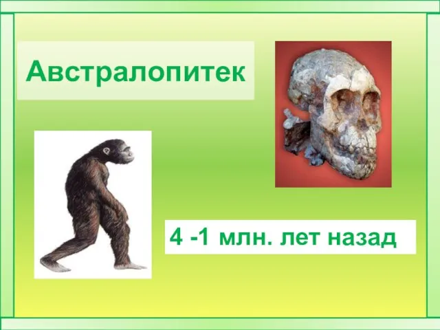 Австралопитек 4 -1 млн. лет назад