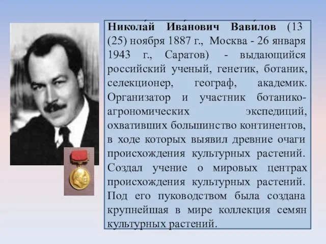 Никола́й Ива́нович Вави́лов (13 (25) ноября 1887 г., Москва - 26 января