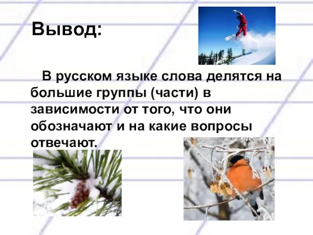 Вывод: В русском языке слова делятся на большие группы (части) в зависимости