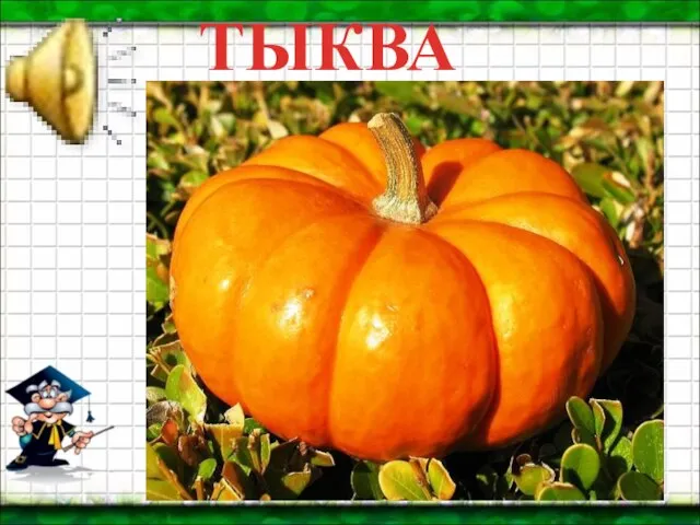 ТЫКВА