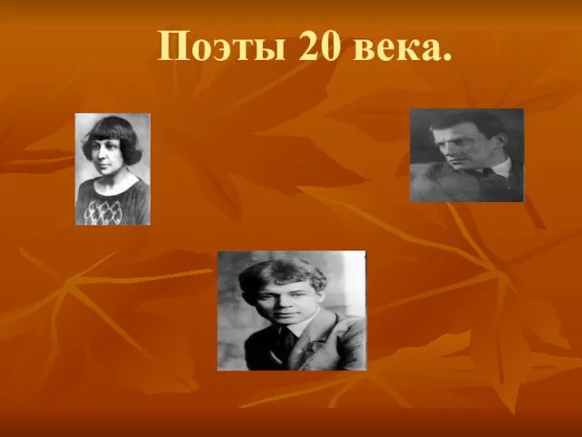 Поэты 20 века.