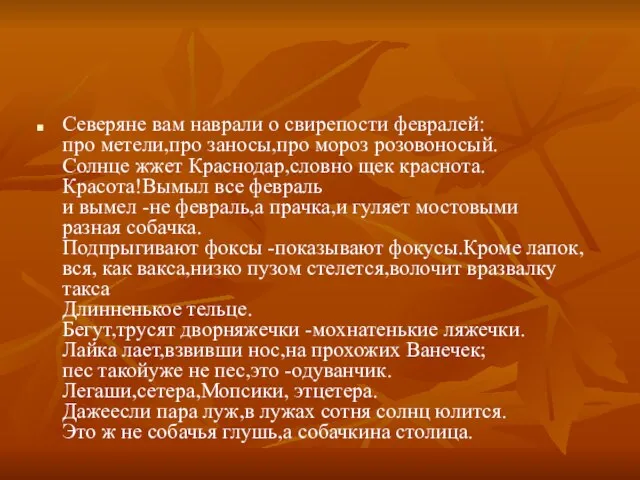 Северяне вам наврали о свирепости февралей: про метели,про заносы,про мороз розовоносый. Солнце