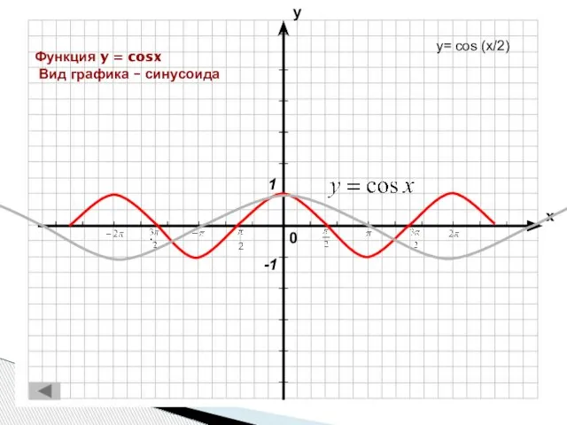 Функция y = cosx Вид графика – синусоида y= cos (x/2)
