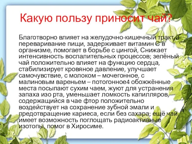 Какую пользу приносит чай? Благотворно влияет на желудочно-кишечный тракт и переваривание пищи,