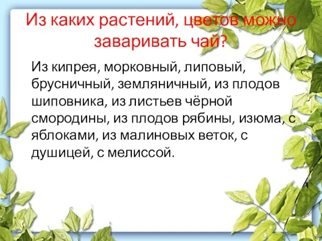 Из каких растений, цветов можно заваривать чай? Из кипрея, морковный, липовый, брусничный,