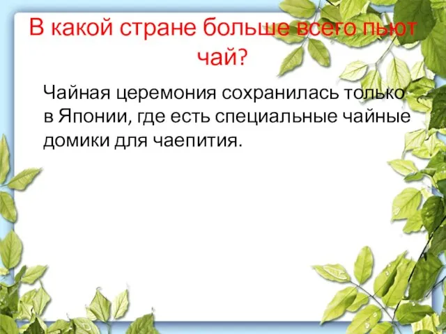 В какой стране больше всего пьют чай? Чайная церемония сохранилась только в