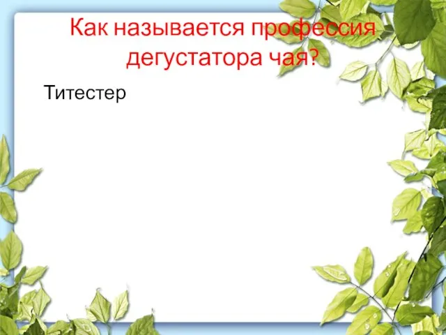 Как называется профессия дегустатора чая? Титестер