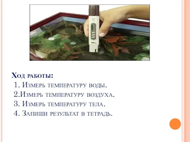 Ход работы: 1. Измерь температуру воды. 2.Измерь температуру воздуха. 3. Измерь температуру