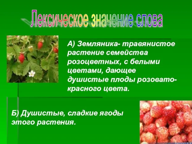 Лексическое значение слова А) Земляника- травянистое растение семейства розоцветных, с белыми цветами,