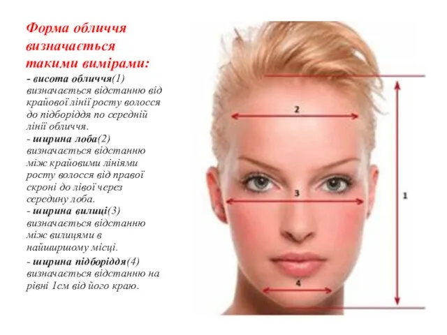 Форма обличчя визначається такими вимірами: - висота обличчя(1) визначається відстанню від крайової