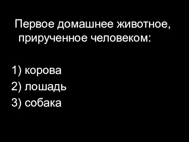 Первое домашнее животное, прирученное человеком: 1) корова 2) лошадь 3) собака