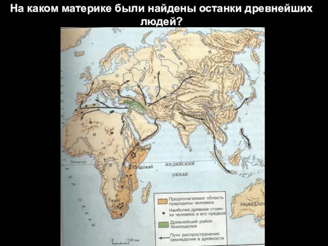 На каком материке были найдены останки древнейших людей?