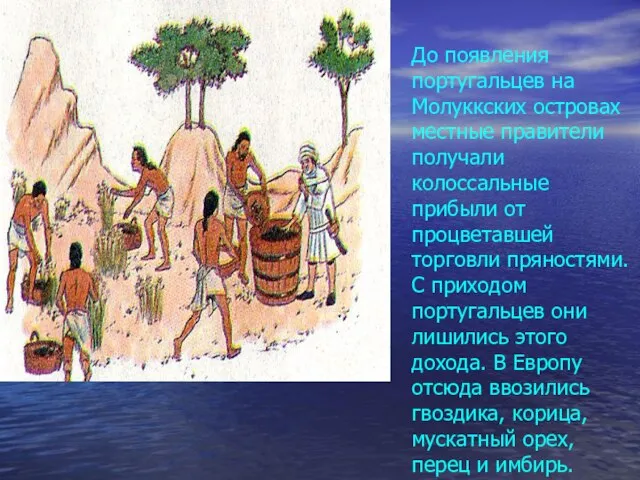 До появления португальцев на Молуккских островах местные правители получали колоссальные прибыли от