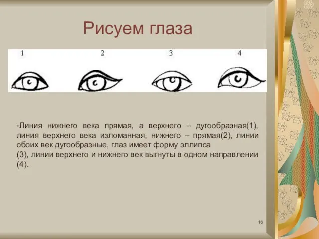 Рисуем глаза -Линия нижнего века прямая, а верхнего – дугообразная(1), линия верхнего