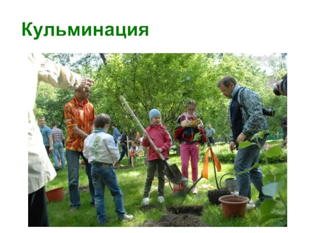 Кульминация