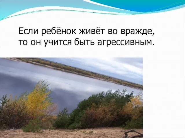 Если ребёнок живёт во вражде, то он учится быть агрессивным.