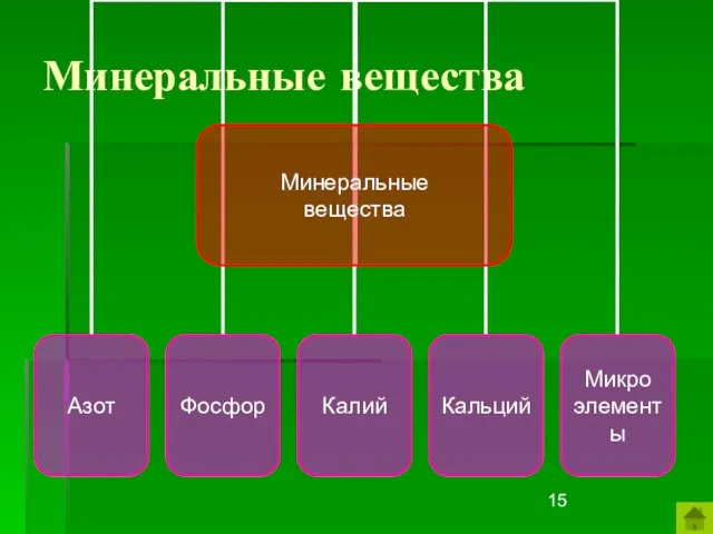 Минеральные вещества