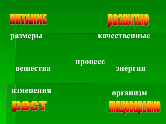 ПИТАНИЕ пищеварение рост развитие размеры процесс изменения качественные вещества энергия организм