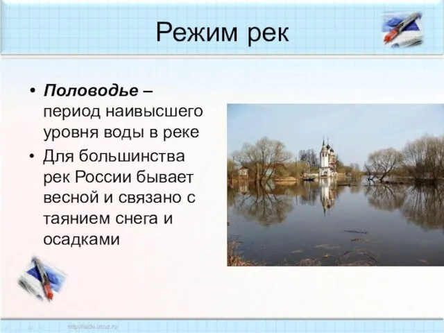 Режим рек Половодье – период наивысшего уровня воды в реке Для большинства